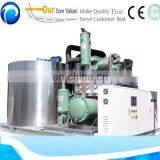 200kg-3 Ton per Day Flake Ice Plant/home Flake Ice Machine Price thumbnail-6