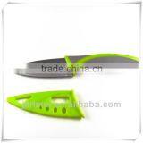 Household Vegetable Fruit Carving Knife