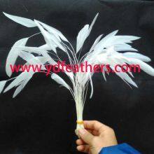 Stripped Rooster/Coque/Cock Tail Feather Natural White From China thumbnail-2