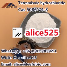 Safety Delivery Factory Supply Tetramisole HCl CAS 5086-74-8 Powder