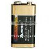 Alkaline battery 9V 6LR61 battery