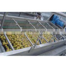 Automatic High Quality Prickly Pear Juice Production Line thumbnail-5