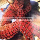 Eco Solvent Printer thumbnail-5