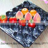 PP Vacuum Forming Plastic Foam and Biodegradable Foam Tray Packing Meat With High Quality thumbnail-2