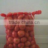 New Fresh Onion thumbnail-1