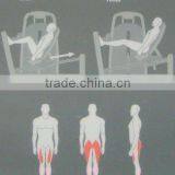 TZ-6016 Fitness Equipment / Leg Press Machine /Horizontal Leg Press thumbnail-4