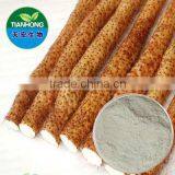 Common Yam Extract in Various Specification Dioscin