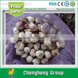 Fresh Garlic/Ginger/Potato thumbnail-1