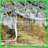 High Quality Virgin HDPE Crops Top Cover Plastic Bird Netting thumbnail-5
