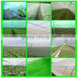 Suntex HDPE Insects Cloth Mosquito Net for Windows thumbnail-4