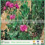 100% PP Plastic BOP Net/ Plastic Stretching Net thumbnail-2