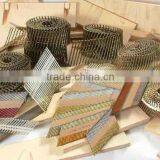 Coil Nails thumbnail-4