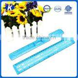 Factory Supplies Kids Cute Plastic Stencil Ruler With Blue Color thumbnail-1