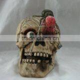 Polyresin Skull Decoration Products thumbnail-1