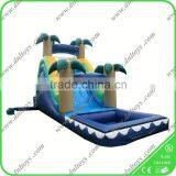 Inflatable Slide for Outdoor Rental