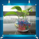 Top Quality Water Balls For Vases thumbnail-1