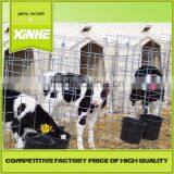 Grade One Factory Calf Hutch/Best Selling Products Discount Calf Hutch/Cow Calf Hutch thumbnail-1