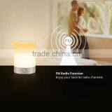 Camp Lantern RGB Night Lamp With Bluetooth Speaker FM thumbnail-4