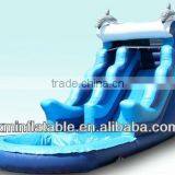 Inflatable Water Slide thumbnail-1
