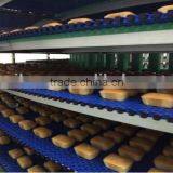 Food Cooling Spiral Conveyor / Modular Belt Screw Conveyor System