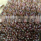 Natural Rose Flower thumbnail-5