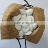 Heilongjiang Good Price Snow White Pumpkin Seed for Middle East thumbnail-6