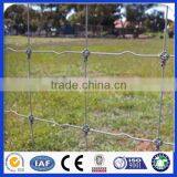 Good Quality Hot Dipped Galvanized Grip Lock Wire Mesh for Farm thumbnail-1