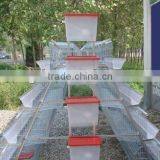 Poultrychinese Bird Cages for Broiler/chicken/quail/pigeon thumbnail-1