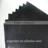 Black Weed Barrier Fabric/Anti Grass Cloth thumbnail-1
