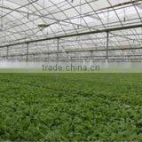 Polycarbonate Greenhouse thumbnail-3