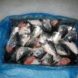 Atlantic Salmon Fish, Salmon Belly, Salmon Backbone, Salmon Head, Salmon HOG, Norwegian Salmon HG, Salmon Oil, Caviar thumbnail-4