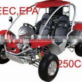 EEC Go Kart RLG1-250DS /DUNE BUGGY /ROAD LEGAL BUGGY thumbnail-1