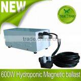 Hydroponic Magnetic Ballast 600W for Indoor Plant Growth thumbnail-2