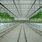 Green Houses for Agriculture Multi Span Greenhouses thumbnail-2