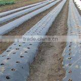 Black Agricultural Mulch Film for Weed Control thumbnail-4