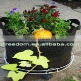 Garden Tomato Planter Bags thumbnail-3