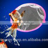 Small Landing Net for Aquarium Goldfish thumbnail-4