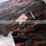 Frozen Illex Squid from CHINA 200-300G