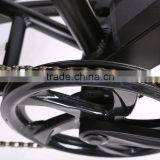 2017 New Style 26 Inch Fat Tire Electric Bike Snow Bike thumbnail-5