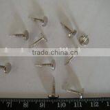 Good Quality Flat Head Screw Shoe Nails(factory) thumbnail-1