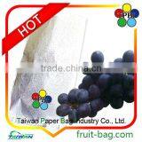TPBI Taiwan High Quality Agriculture Grape Tree Growing Kraft Paper Bag thumbnail-1