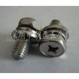Stainless Steel Screw thumbnail-2