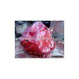 Red Jasper thumbnail-1