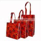Non-woven Shopping Bag
