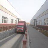 Binzhou Sunshien WPC Co.,ltd. company overview - view 4 thumbnail