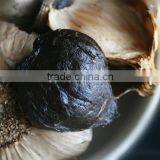 Natural Black Garlic Price thumbnail-3