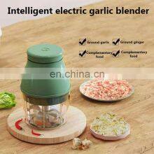 Hot Selling Model 45W 100ML 250ML Rechargeable Portable Food Processor Chopper Mini Garlic Food Chopper thumbnail-3