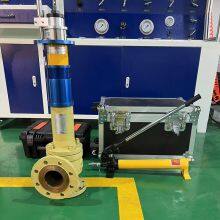 Factory-direct-sale Pressure Safety Valve Online Safety Valve Test Bench thumbnail-5