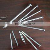 Common Nail thumbnail-4