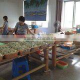 Shengzhou Kaile Recreation Co., Ltd. company overview - view 1 thumbnail